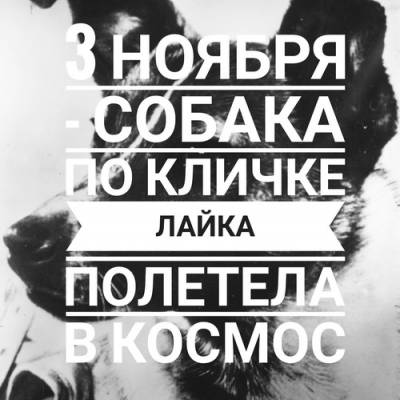 03.11 - Лайка полетела в космос