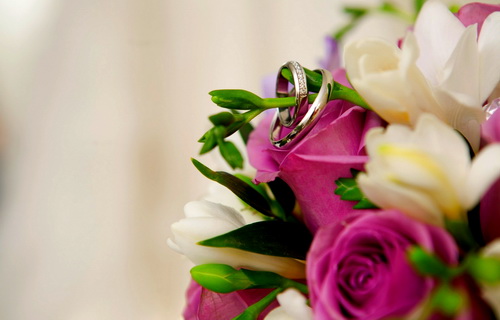 ОБРУЧАЛЬНЫЕ КОЛЬЦА