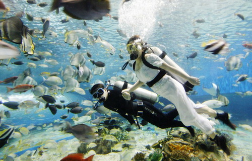 Самые необычные свадьбы