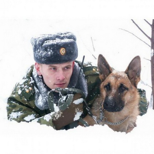 Сценарий Дня пограничника