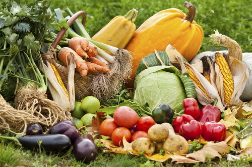 Сценарий праздника урожая