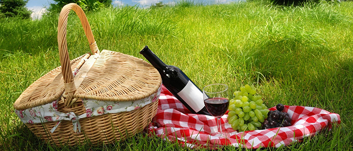 Пикниковый этикет