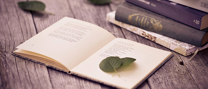 Сценарий Дня поэзии