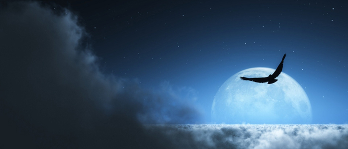 Смс прощание