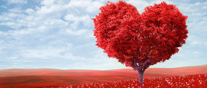 Сценарий Дня красоты