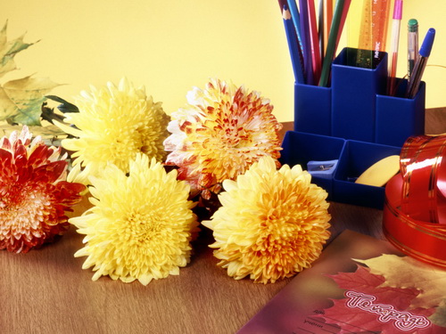 1 сентября. День знаний