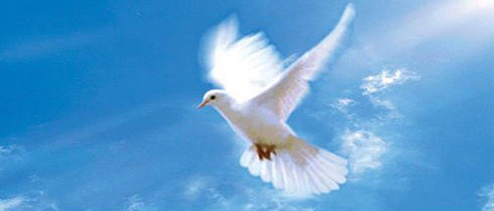 Сценарий Дня мира