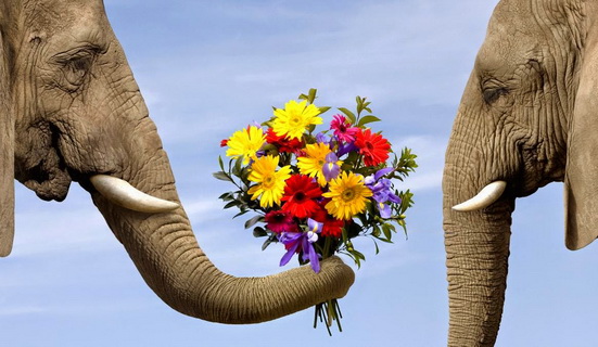 Этикет в обществе