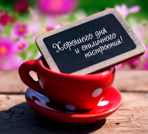 Хорошего дня