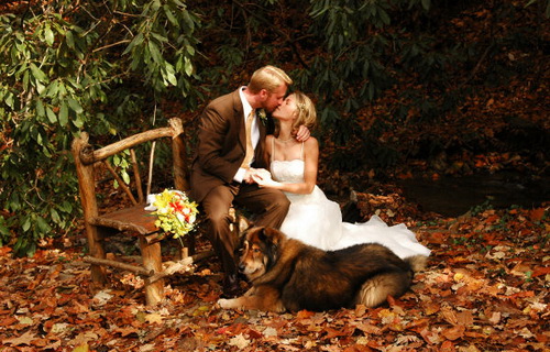 Цвет свадьбы осень-зима 2016-2017