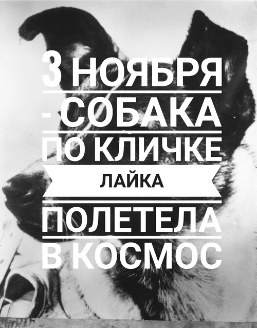 3 ноября - Лайка полетела в космос