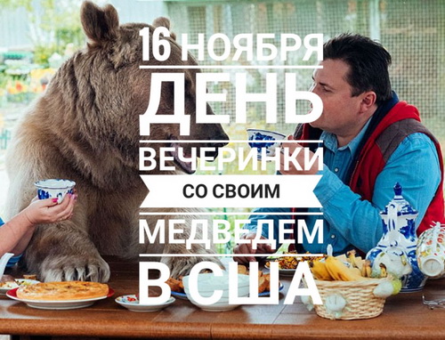 16 ноября - День вечеринки со своим медведем в США